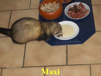 Maxi