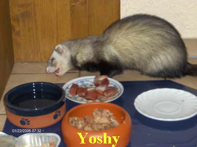 Yoshy
