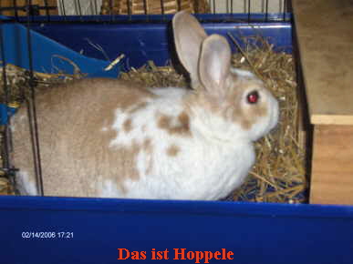 Das ist Hoppele