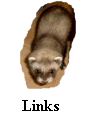 Yoshy