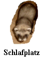 Yoshy