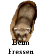 baum
