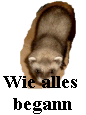 Yoshy