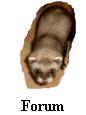 Yoshy